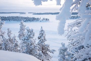 Winter in Lapland van Rene Wolf