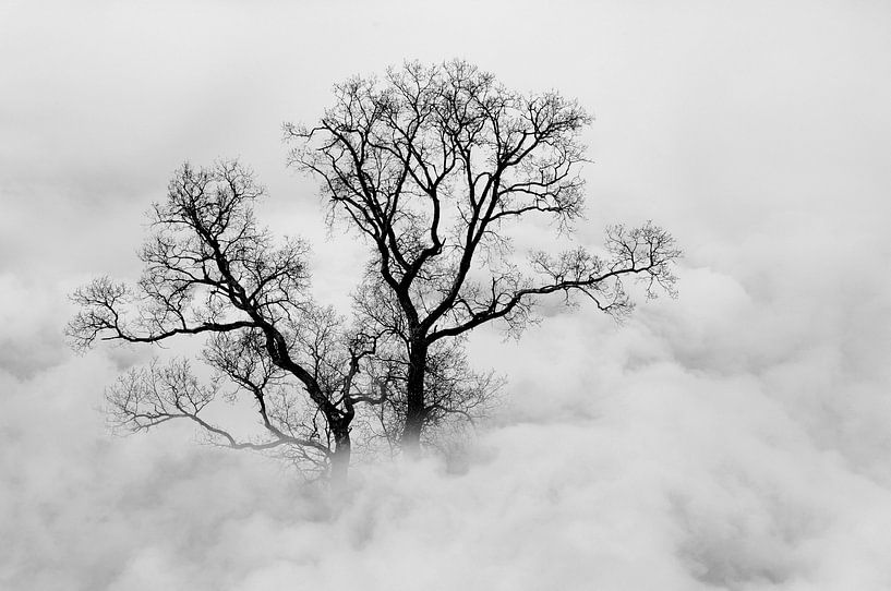 In den Wolken II von Corinne Welp