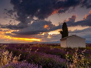 Sonnenuntergang in der Provence von Hillebrand Breuker