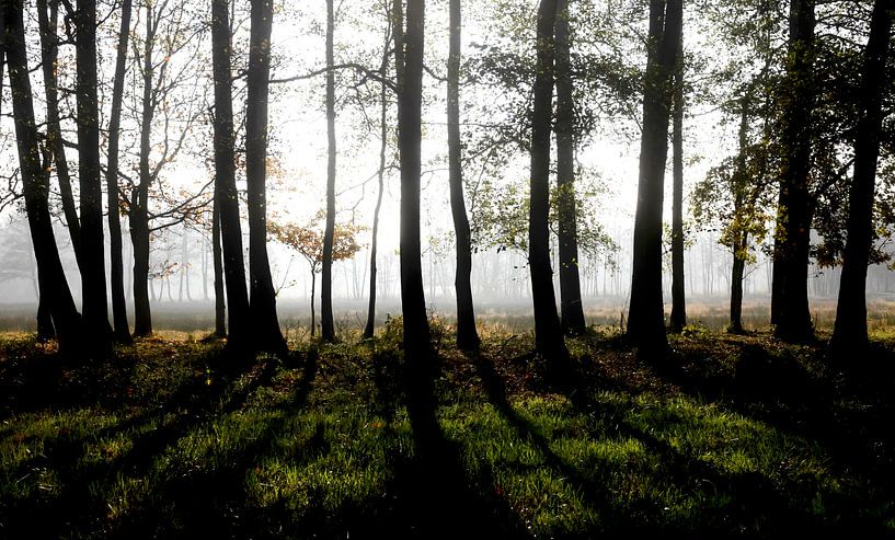 Spreewald von Thomas Jäger