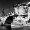 Dresden - Albert Bridge and Hofkirche (black and white) by Frank Herrmann