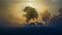 Paarden in Twents landschap. van Ron Poot thumbnail