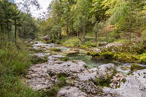 Vue sur les gorges de Mostnica