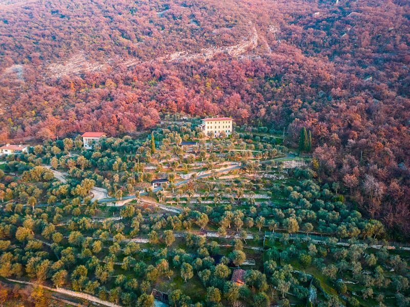 Paysage d'automne au lac de Garde par Mustafa Kurnaz