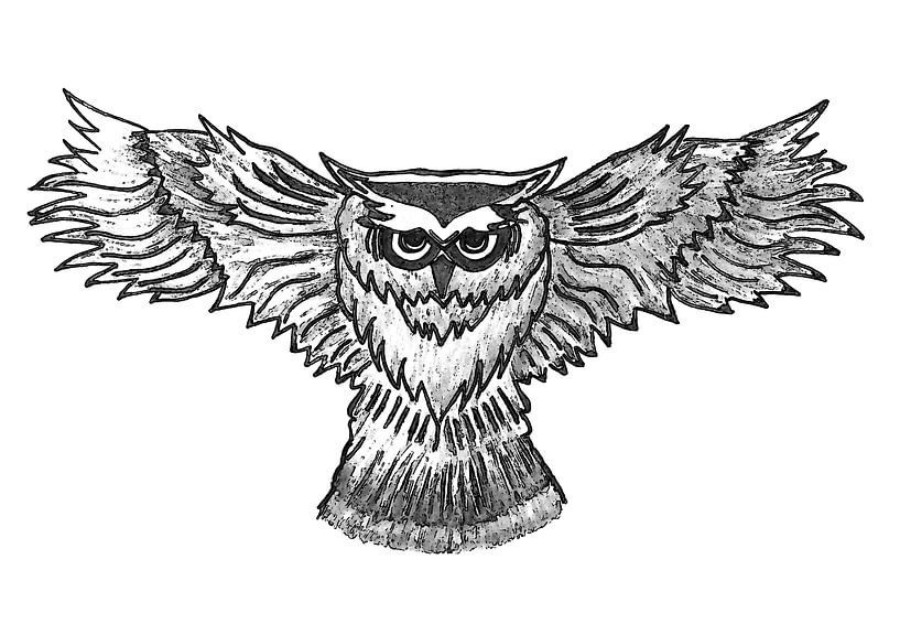 Owl ( drawing ) by Jose Lok