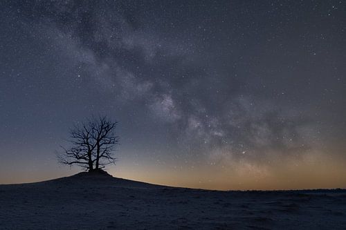Galaxie auf der Veluwe