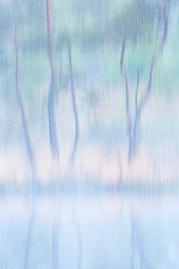 Abstracte bomen