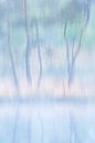 Abstracte bomen van Bob Luijks thumbnail