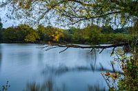 Uiterwaardenpark Meinerswijk Arnhem