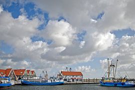 Oudeschild van Mariska Hofman