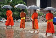 Begging monks in Luang Prabang by Gert-Jan Siesling thumbnail