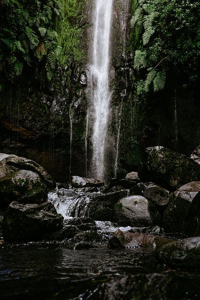 Waterval van Myrthe Vlasveld