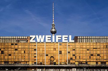 Zweifel-Installation am Palast der Republik von Alexander Baumann