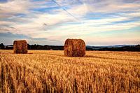 Hay bales