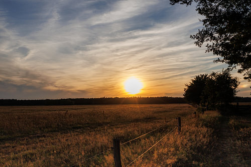 Gouden avond over het Drentse land