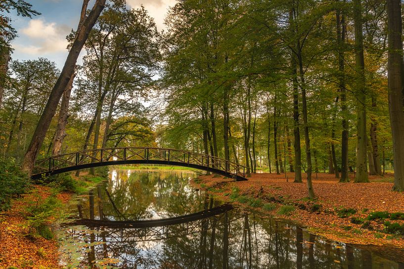 Herfst van Jan Koppelaar