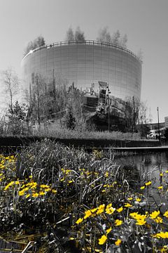 Boijmans Van Beuningen Depot with yellow kingcups by Framed by Elisabeth