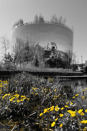 Boijmans Van Beuningen Depot with yellow kingcups