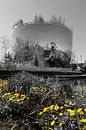 Boijmans Van Beuningen Depot with yellow kingcups by Framed by Elisabeth thumbnail