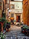 Floral Courtyard Cortona Tuscany by Dorothy Berry-Lound thumbnail