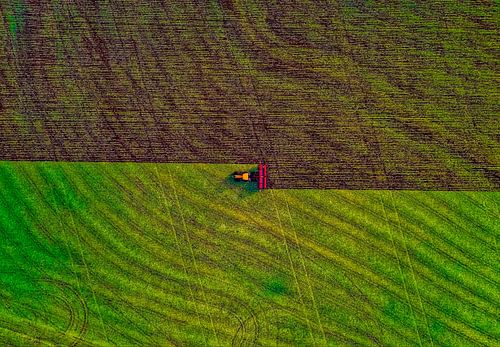 The Art of Agriculture