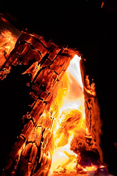 Fiery wood, warm night by Kaylee Verschure