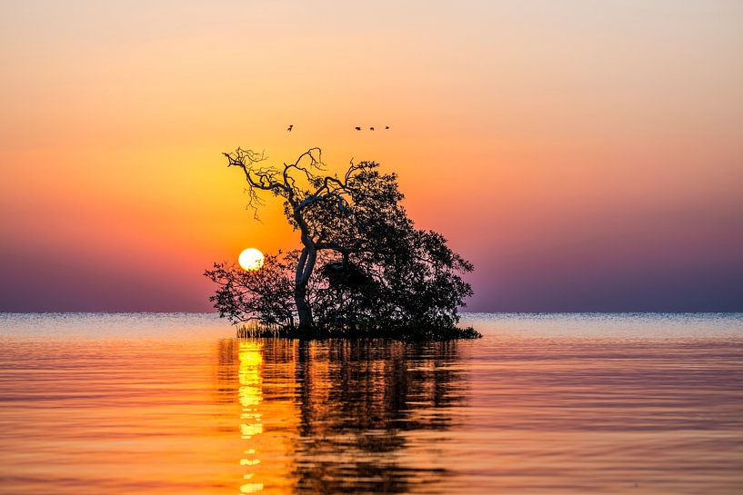 Le soleil se lève en Égypte, lever du soleil en Égypte par Corrine Ponsen