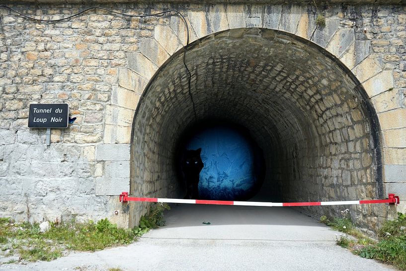 Tunnel du Loup Noir von Artmotifs Eve