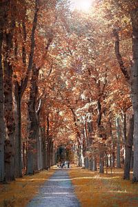Bos met de herfst kleuren van Miranda van Hulst