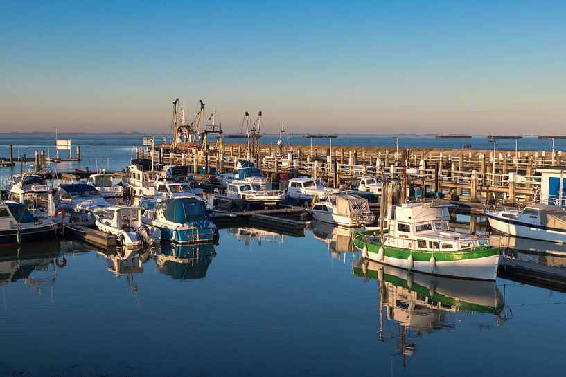 Haven Terneuzen by Elly Damen