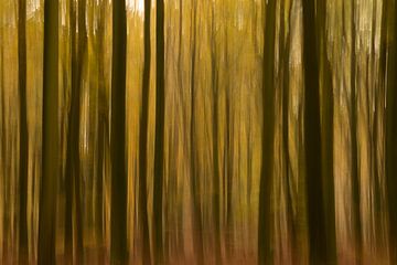 Herfstschimmen van Franke Fotografie