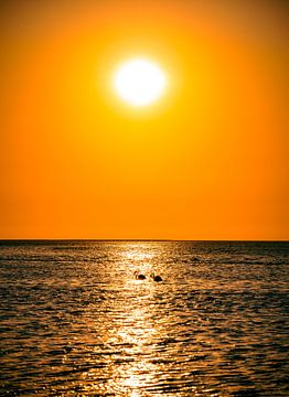 Flamingo's bij zonsondergang in Walvis Bay Namibië, Afrika van Patrick Groß