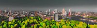 Rotterdam skyline mystique