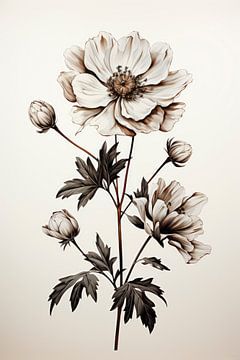 bloemenschets van Harry Cathunter