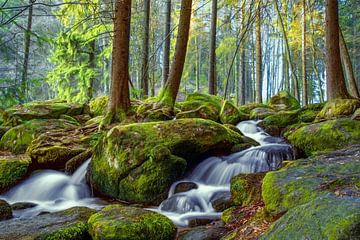 The Green Whale by Lars van de Goor