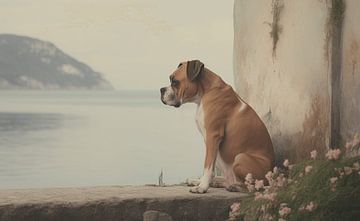 A Boxer's Life by Karina Brouwer