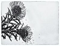 Flower Power #3