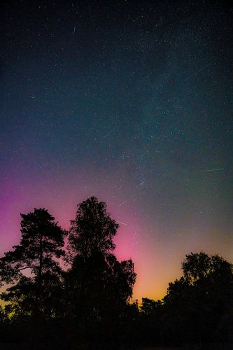 Perseids on the Veluwe with northern lights