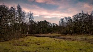 Landschap Tenellaplas Oostvoorne van Marjolein van Middelkoop