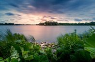 Beweging in het water van peterheinspictures thumbnail