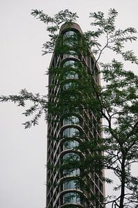 De Vesteda toren in Eindhoven van Robin van Steen