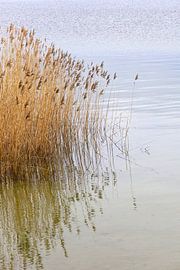 On the shore by Thomas Jäger