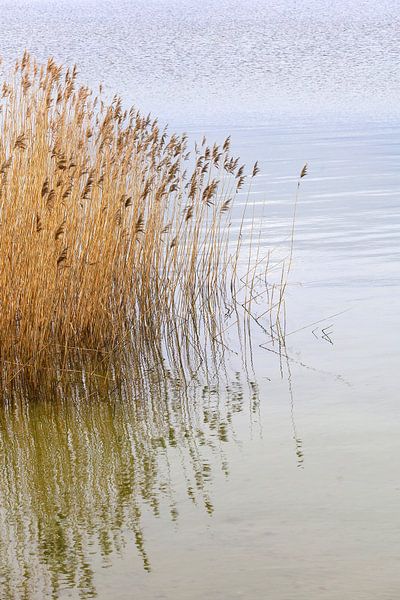 Am Ufer von Thomas Jäger