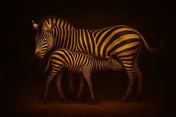 Zebra von Bert Quaedvlieg