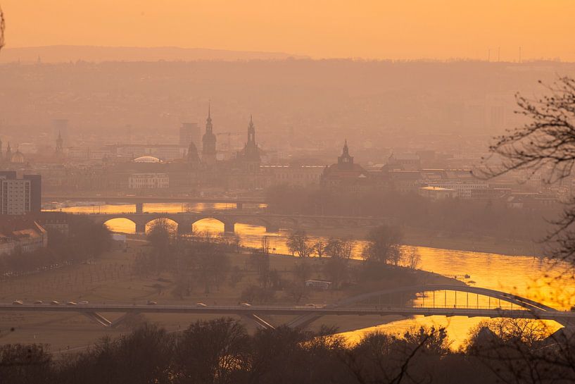 Dresden by Sylvio Dittrich