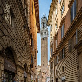Siena - Torre del Mangia van Teun Ruijters