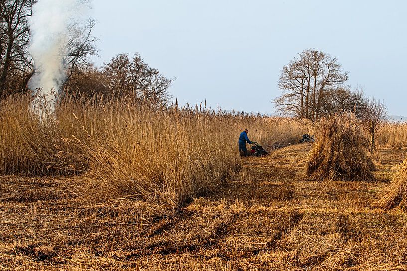 The Weerribben and Wieden; a cane cutter at work! by Roel Jonker