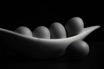 L'œuf de poule à la bonne lumière sur Tanja Riedel
