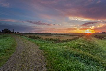Sunrise-Schock Land Provinz Flevoland