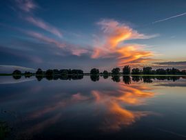 Bronkhorst von Gerrit de Groot